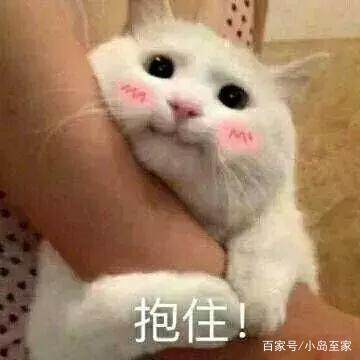 和世界杯更搭配的美食,牛肉也疯狂