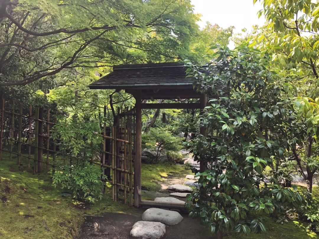 名古屋可以去哪里旅游,名古屋还能去吗