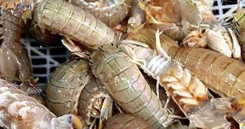 皮皮虾原味家常做法,皮皮虾怎么做才下奶