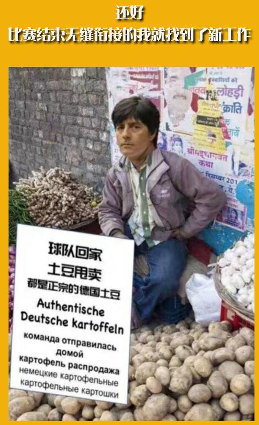 世界杯足球场草皮,世界杯球场草坪为什么两个颜色