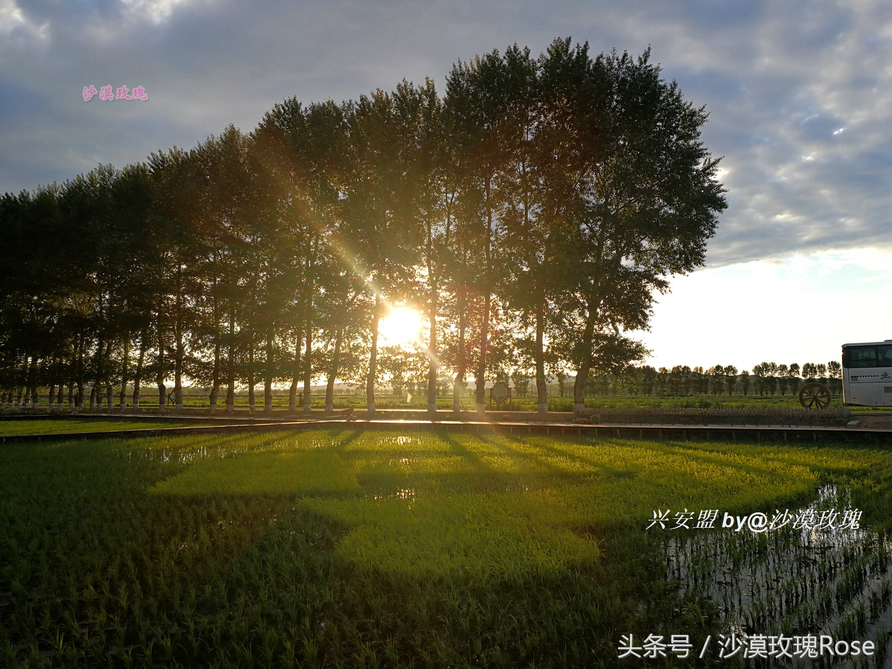 与瑞士齐名的地方,与瑞士媲美的地方