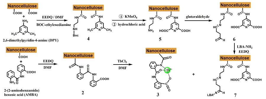 可用于指纹检测及加密的阴离子响应纳米纤维素水凝胶