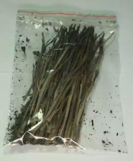 世界上十大最毒知识,毒相关知识