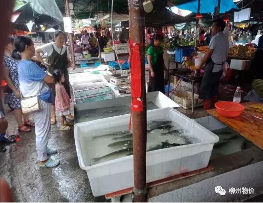 曝光无良商家缺斤短两违法吗,菜市场缺斤少两乱象