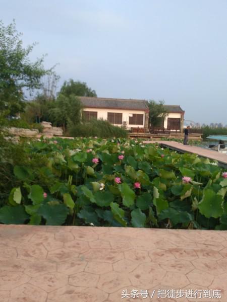 走遍山东之聊城,走遍聊城