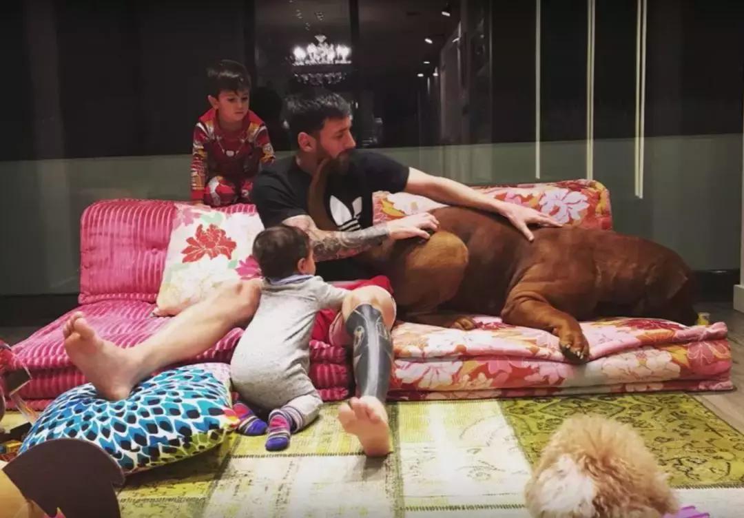 梅西c罗豪车,c罗和梅西内马尔谁家里最有钱