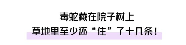 自家别墅花园有蛇什么原因,深圳一别墅区惊现蛇出没
