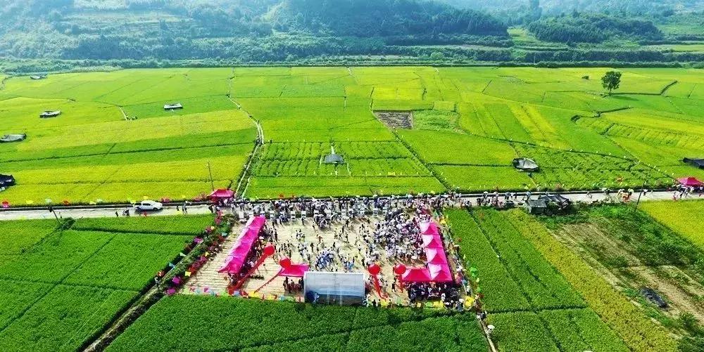 下一站湘府路站,下一站湖南