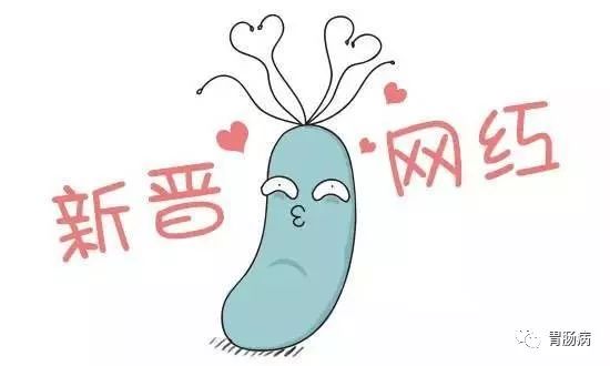 幽门螺杆菌讲解视频,幽门螺杆菌的基础实验