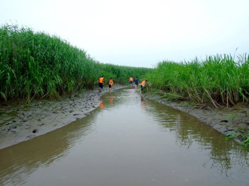 盘锦鼎翔旅游景区,辽宁盘锦旅游景区集锦