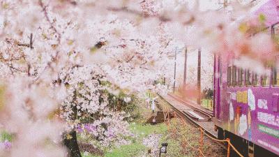 朴信惠的珠宝箱｜朴姐姐出游日本，珠宝盒里都装了哪些扮靓装备？