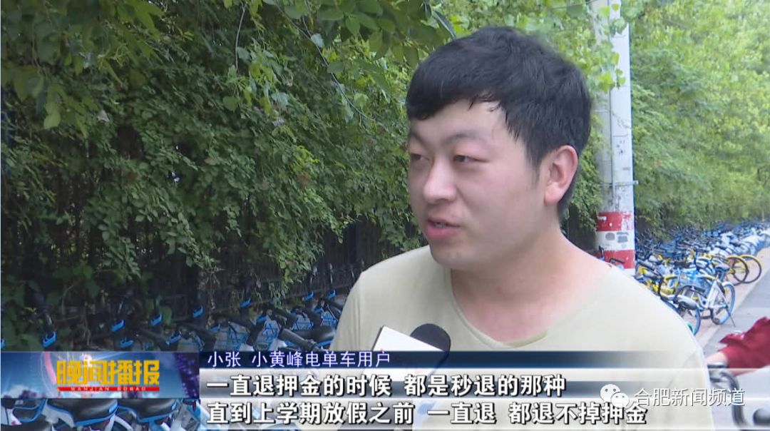 小黄蜂合肥,合肥小黄蜂