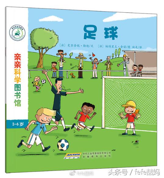 足球世界杯必备书,足球书籍世界杯