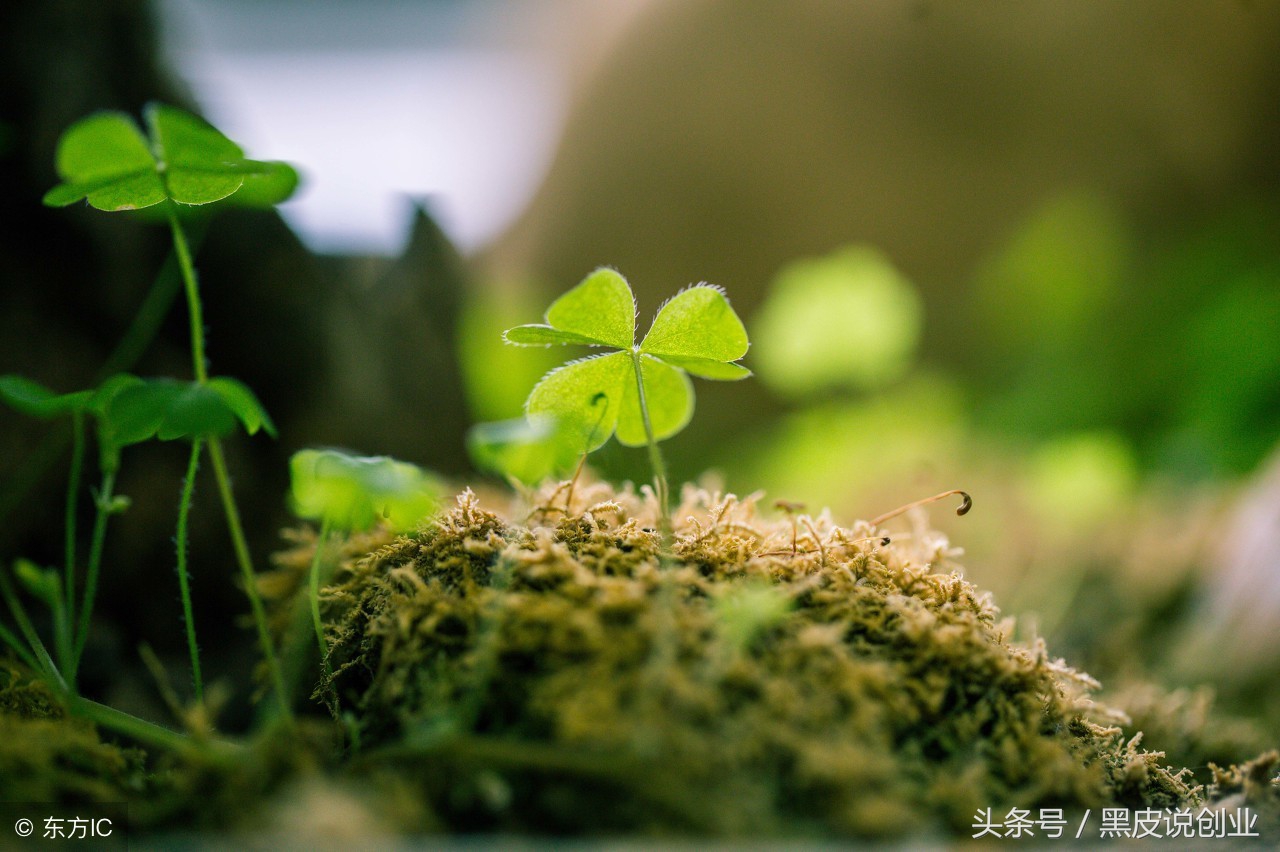 为什么一定要做互联网生意？