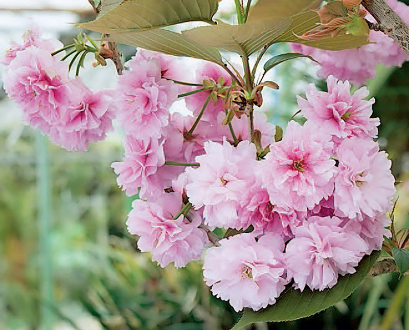 单反入门相机推荐,入门数码单反相机