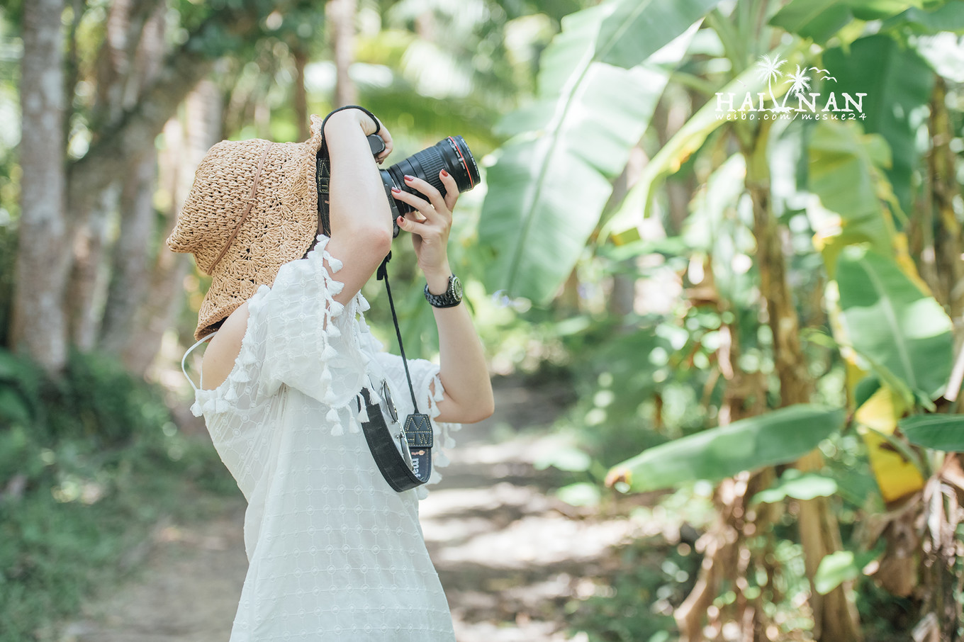 从日出到星辰大海,这里是海南文昌——今夕传媒旅行家出品