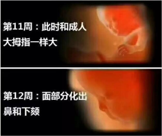 养出漂亮宝宝,养出聪明娃的技巧