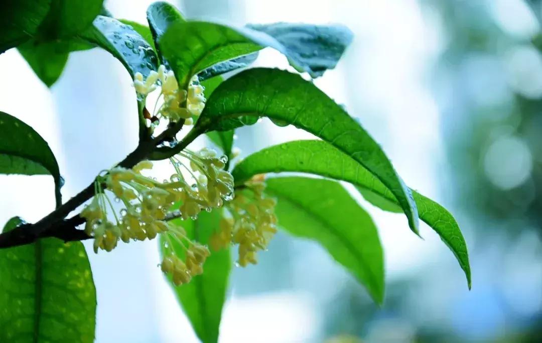 最新消息！国家点名表扬北京这几个区，快看看有你们家嘛？