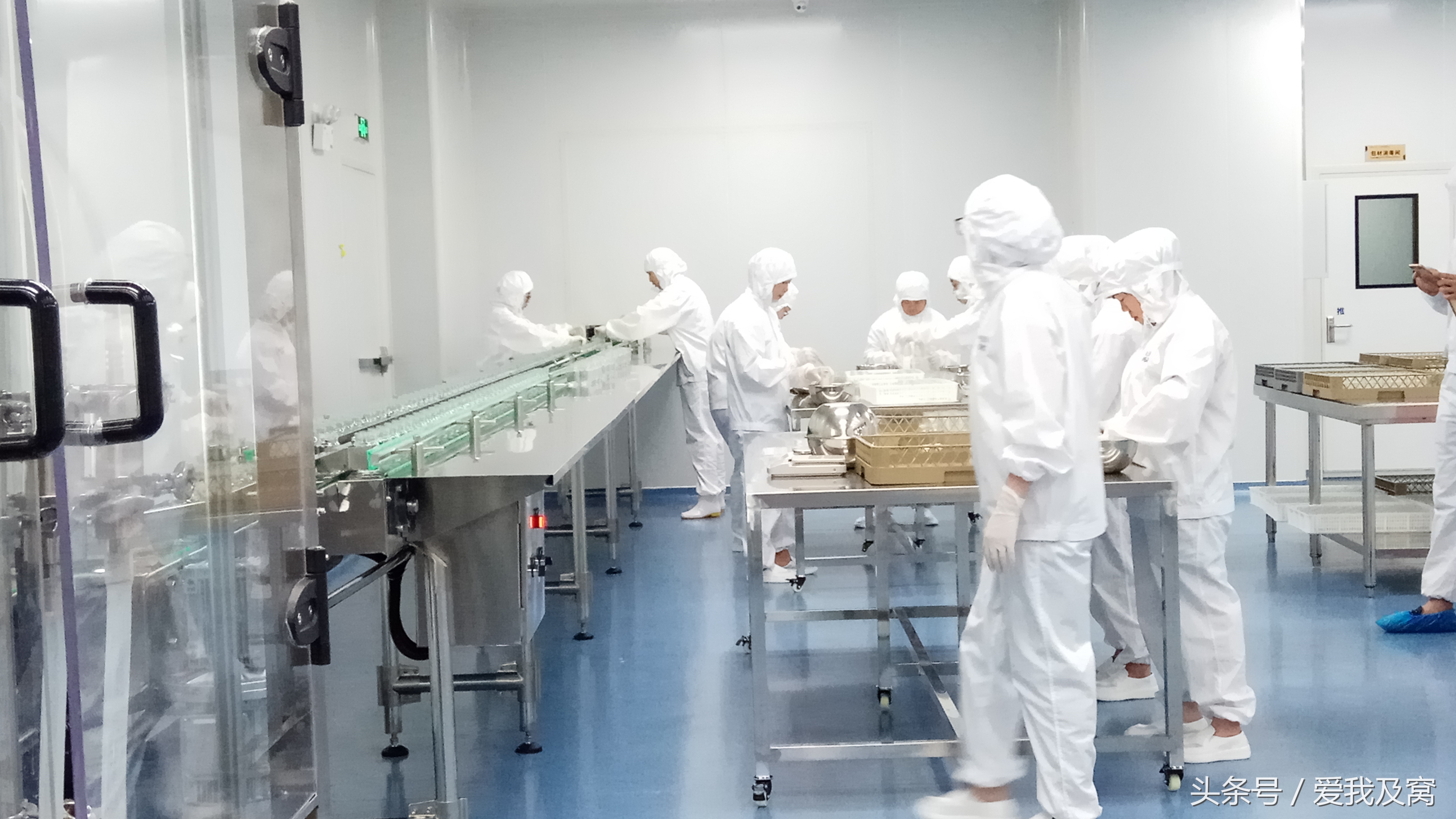 即食燕窝专卖店加盟有哪些,即食燕窝代加工