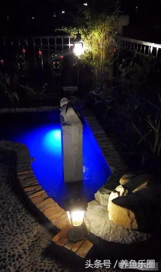 锦鲤鱼缸团灭后重新开缸,锦鲤遭团灭