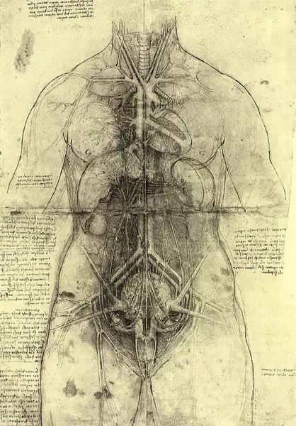 揭秘历史上最厉害的天才达芬奇,世界著名怪才达芬奇