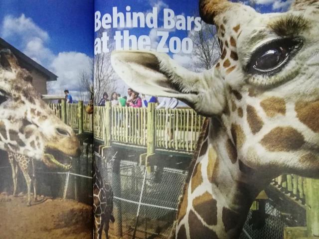 你别来我就无恙全文免费阅读,你别来我就无恙图片