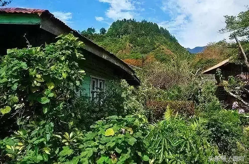 世界杯进球最多的国家是哪国,世界杯进球最多的国家是哪个国家