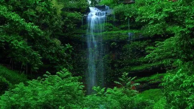 微信聊天护眼背景图高清大图,护眼背景图微信聊天背景