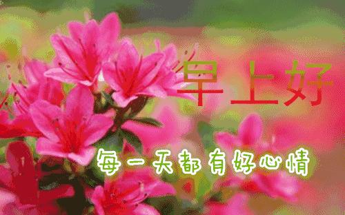 早上好微信动态表情图片大全,早上好微信动态表情精美图片大全