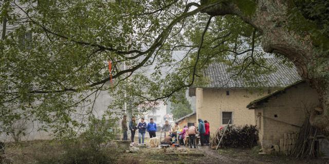 软糯香甜的糍粑快来看看,儿时回忆又香又甜的小糍粑