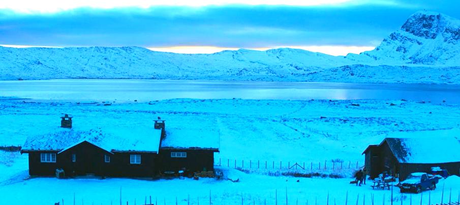 韩版毒战另外一个结局拍了没有,韩版毒战结尾谁死了