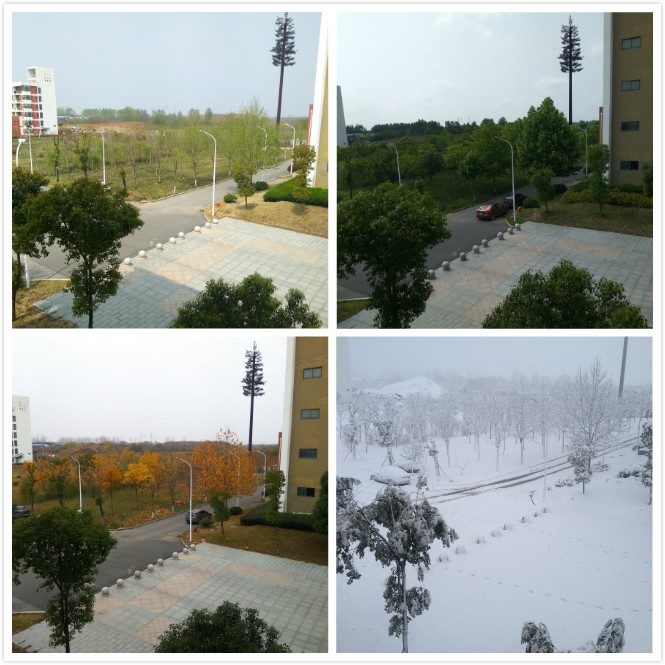 这是一个学校英语怎么写,填空题这是一个什么什么的湖