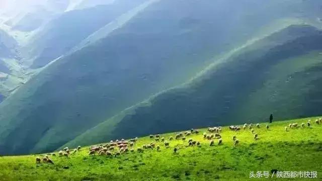 西昆高铁西安至安康段,西昆高铁有哪些站