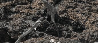 探索自然的纪录片推荐,七部神级自然纪录片你看过几部