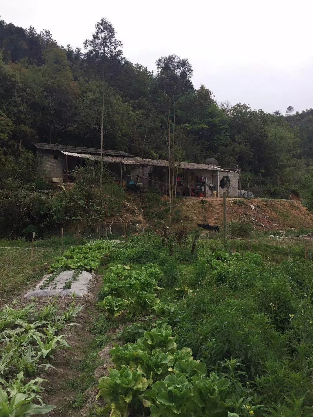 梅州出租房200平米,梅州出租房59套