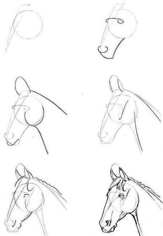 世界上最逼真的马画,超级逼真的马画