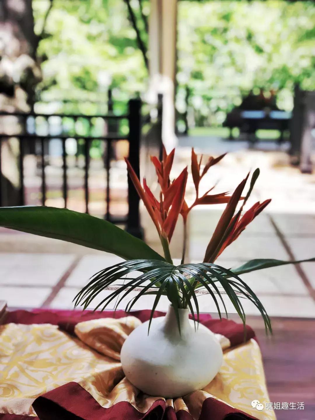 游记｜阳光沙滩做SPA,是我人生中性价比最高的旅行！