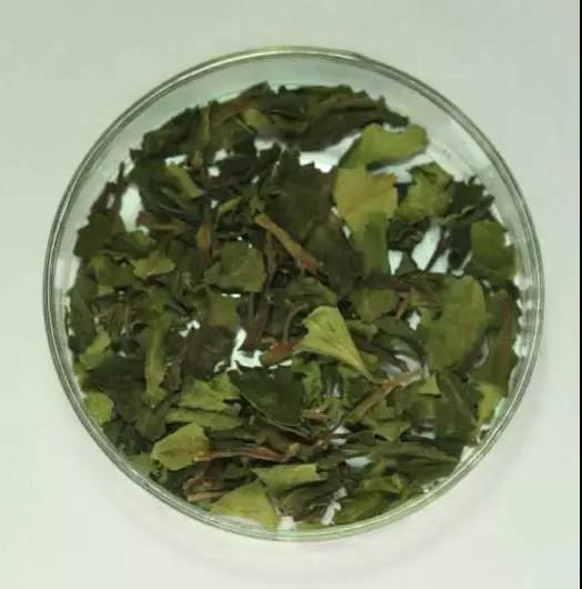 国家禁毒办全民禁毒教育指导意见,国家禁毒宣传标准