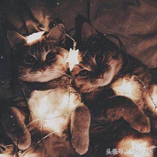 心累压抑憋屈的句子发朋友圈说说,写给心累的自己说说句句让人心酸