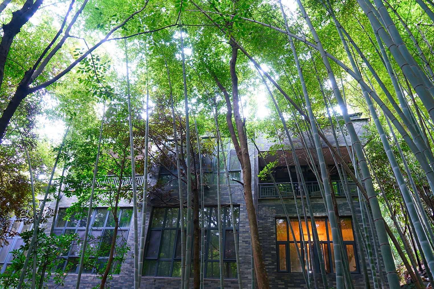 赣州古桥一日游,走古街串古巷