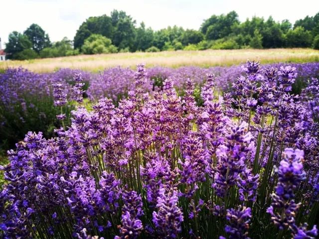 娴锋按鐖辨儏灏忚,娴锋按鐖辨儏