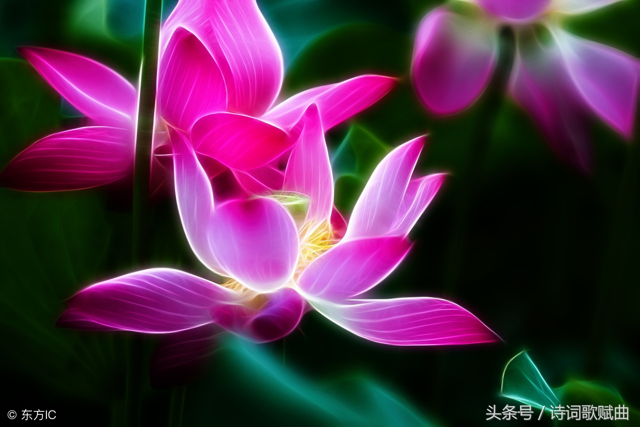 双调六十二字词牌,双调六十二字的词牌