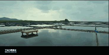 复仇与救赎,韩国复仇电影无尿点