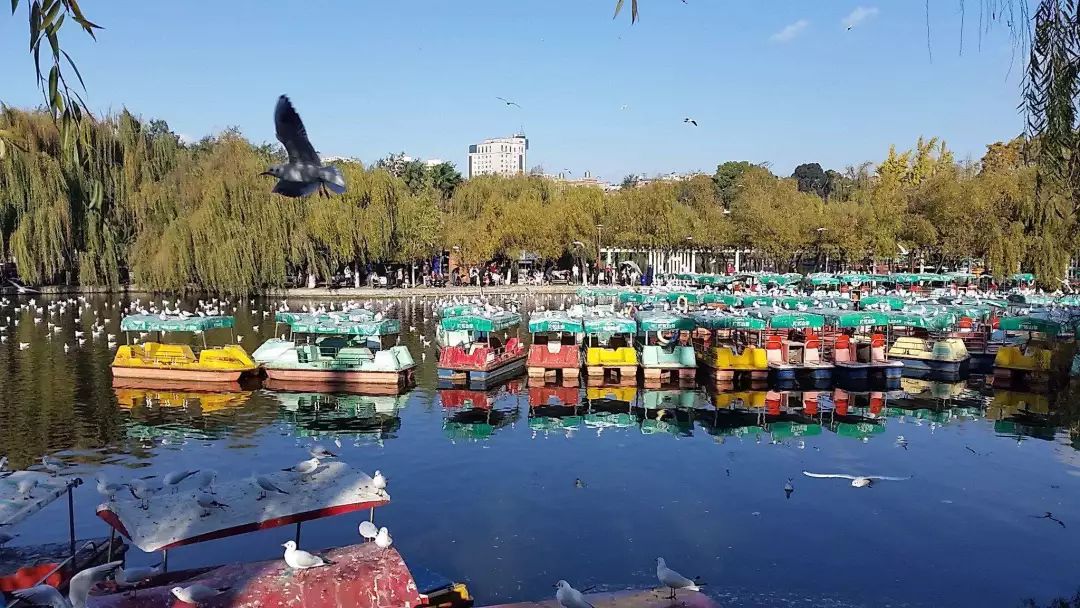西安去昆明高铁票价,西安市至昆明市高铁票