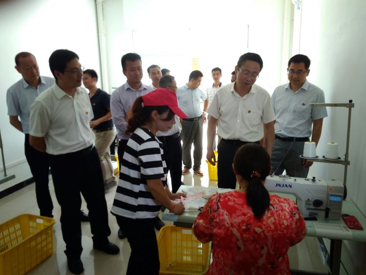 陕西安康向*党**的生日献礼｜洪山镇石狮村毛绒玩具厂开工生产