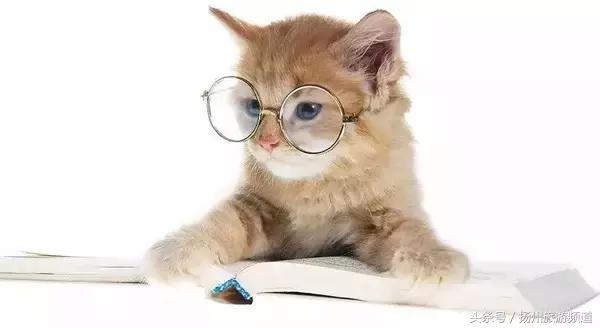 扬州市小升初的流程 (扬州小升初报名时间过了怎么办)