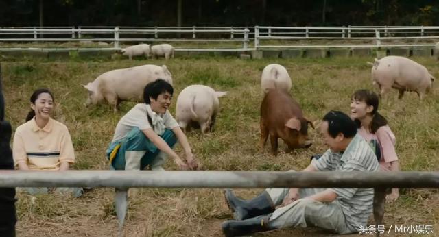 如果全世界都停电人们该怎么活,全世界停电一年怎么活下来