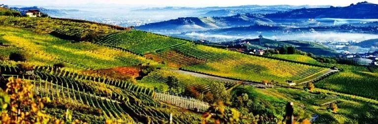 世界著名葡萄酒推荐,世界名牌葡萄酒