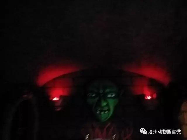 夜场游乐园24小时营业,园博游乐园夜场门票