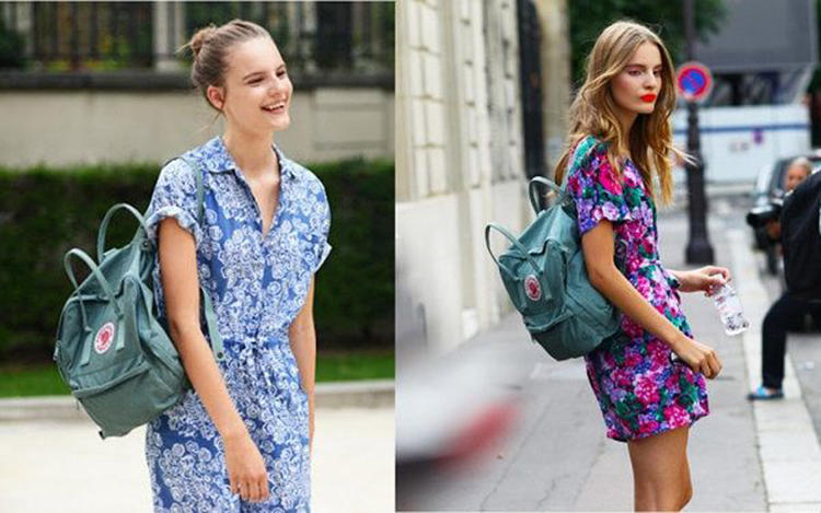 除了北极狐还有别的白狐吗,doughnut双肩包和北极狐